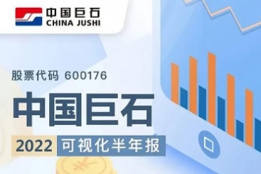 中国w88优德官网手机版2022年可视化半年报